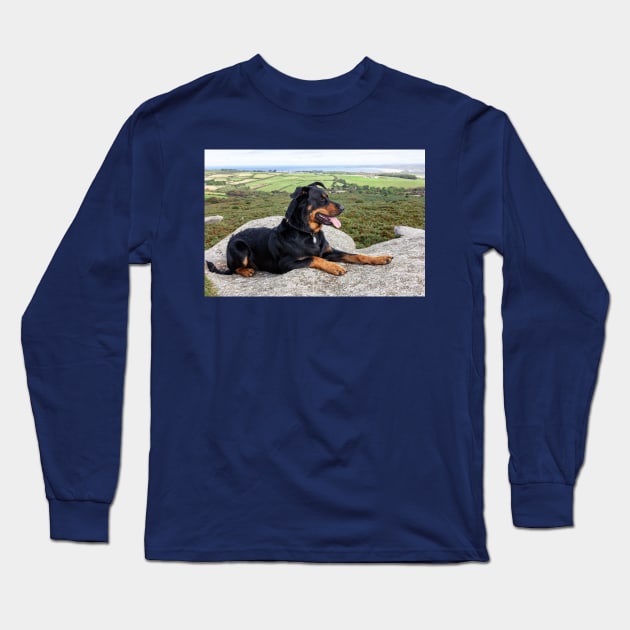 Beauceron Dog Long Sleeve T-Shirt by tommysphotos